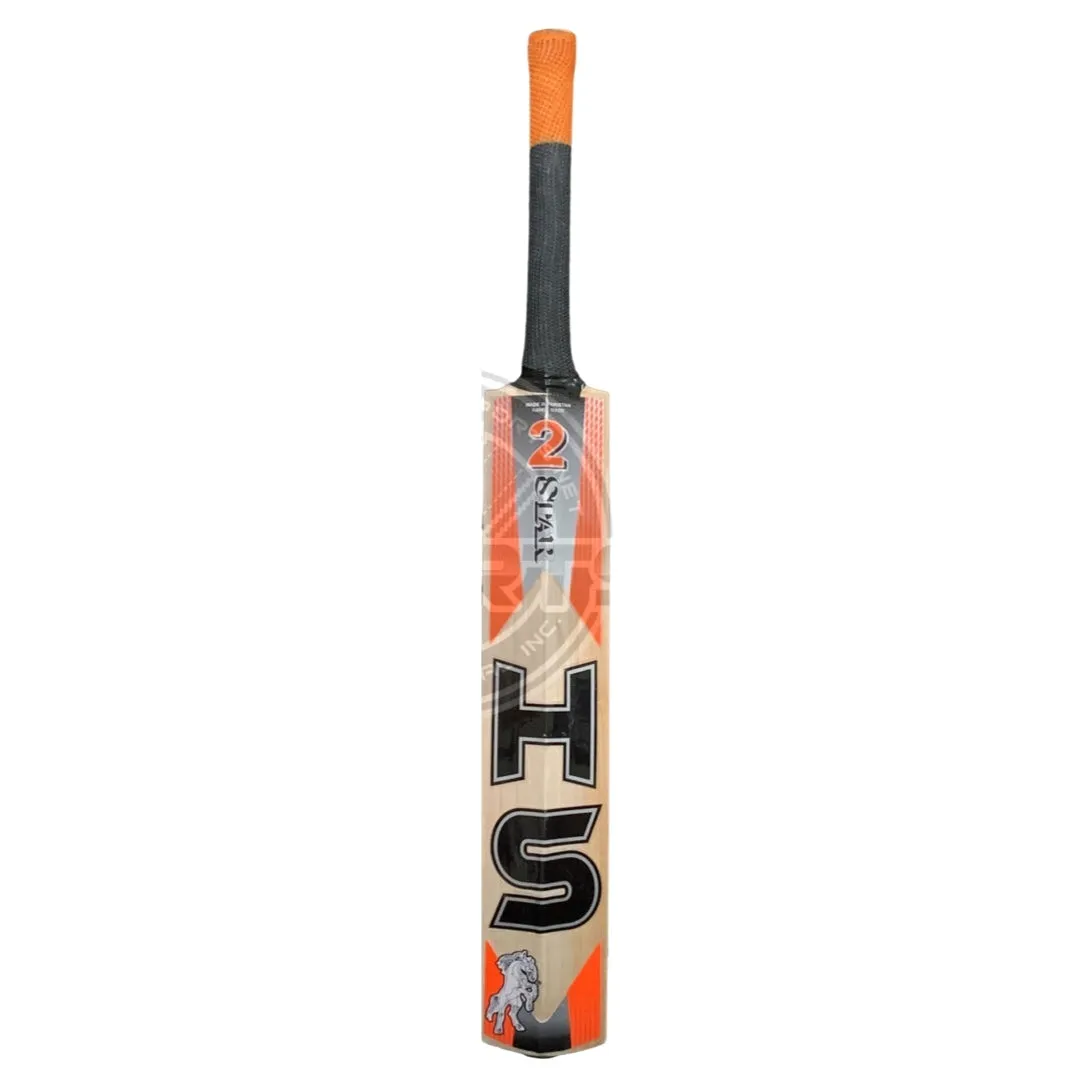 HS 2 Star English Willow Cricket Bat