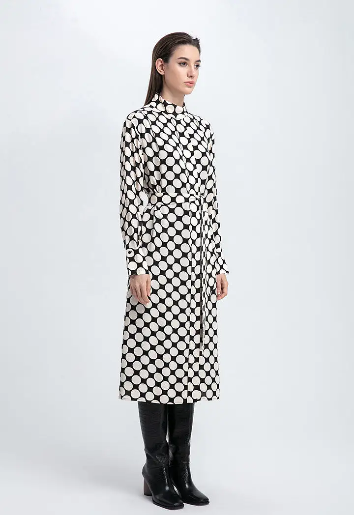 Polka-Dot Stand Collar Concealed Button Placket Dress