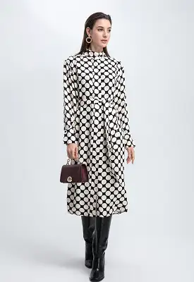 Polka-Dot Stand Collar Concealed Button Placket Dress